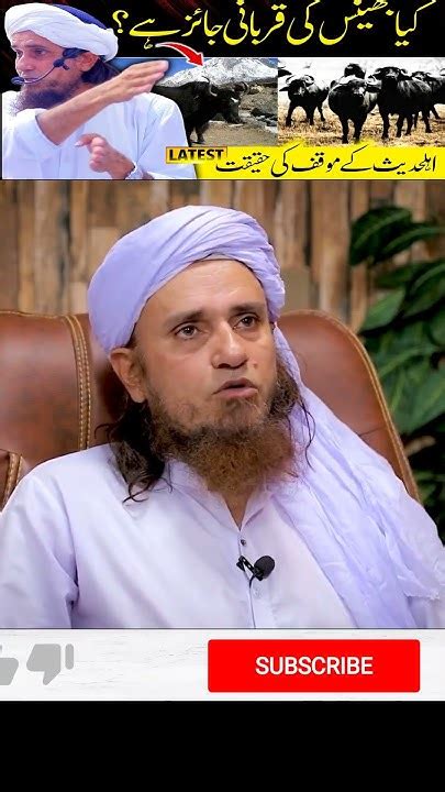 Bhains Ki Qurbani Aur Ahle Hadees Mufti Tariq Masoodkya Bhains Ki