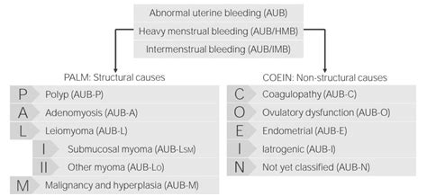 Abnorme Uterine Blutung E Learning Mit Lecturio