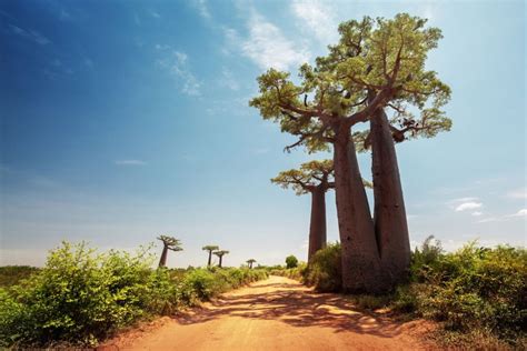 Les 10 Plus Beaux Pays D Afrique Que Vous Devez Absolument Visiter La