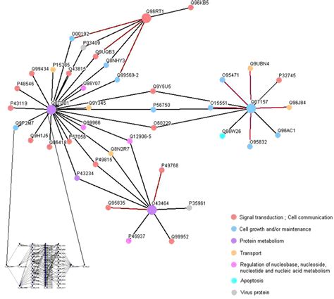 Protein Interaction Map Mediated By The Pdz Domains Of Interest A