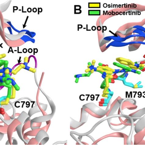 Structures Of Representative Fourth Generation Allosteric EGFR TKIs A