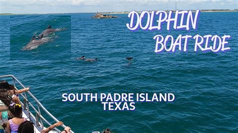 AMAZING SOUTH PADRE ISLAND DOLPHIN WATCH YouTube