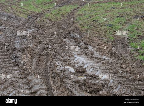 Thick Muddy Tractor Tyre Tracks At Field Entrance Tracks On Grass