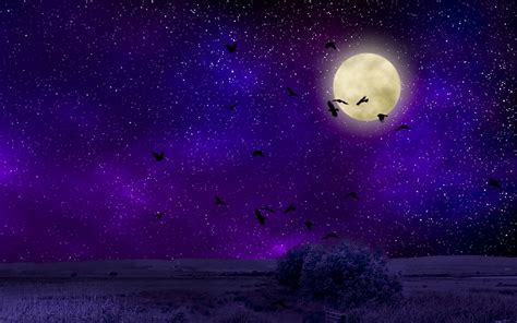 Purple Moonlight Wallpapers - Top Free Purple Moonlight Backgrounds ...