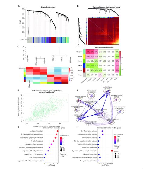 Wgcna For The Monocyte Related Genes A Cluster Dendrogram