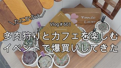 【vlog601】【多肉植物】多肉狩りとカフェを楽しむイベントで爆買いしてきた【たにかふぇ】【taniclover】 Youtube