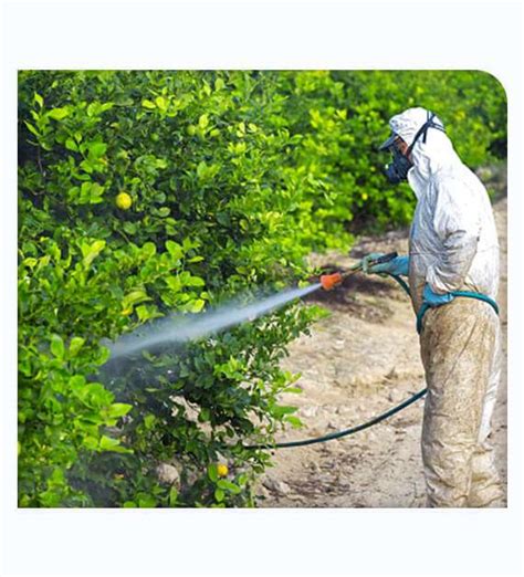 Pest Control Lemon Grove ~ Tree Insect Treatment Service CA