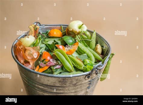 Sorted Organic Kitchen Waste In Compost Bucket Sustainable Life Style