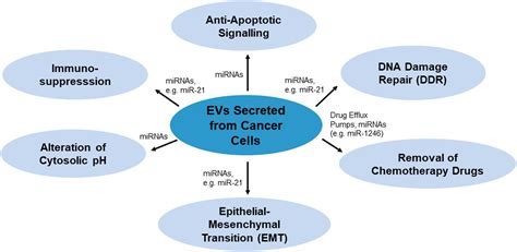 Frontiers Overcoming Chemoresistance Via Extracellular Vesicle Inhibition