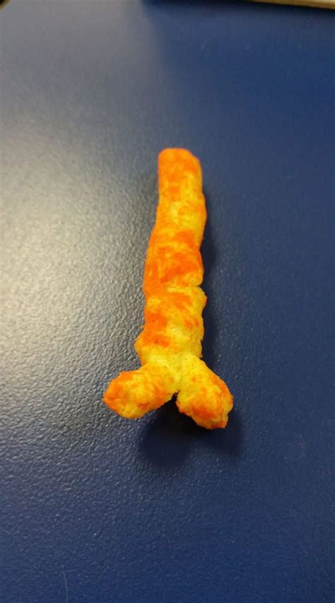 rcheetos images  pholder     year