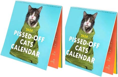 Uotory 2024 Pissed Off Cats Calendar Funny Cat Wall Calendar Cute