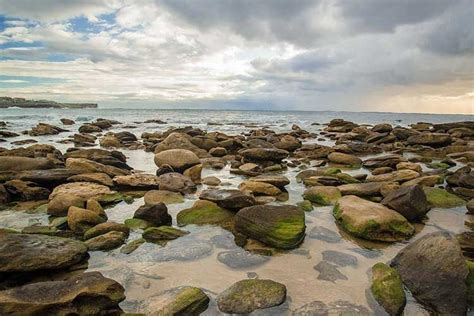 The Best Rockpool Beaches In Australia To Explore With Kids