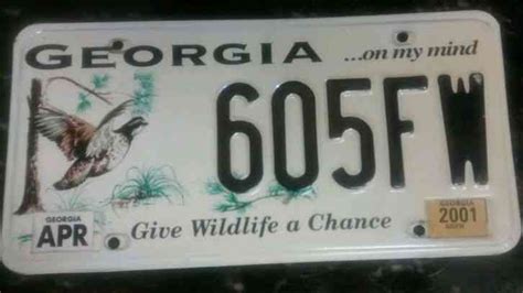 Georgia Wildlife License Plate