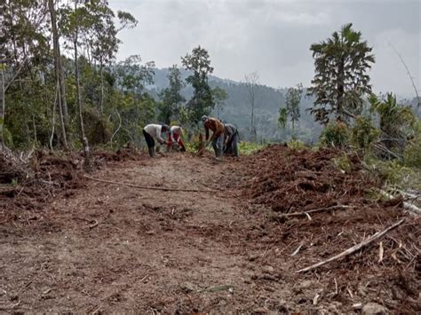 Negeri Ratu Buka Badan Jalan Untuk Permudah Mobilitas Petani