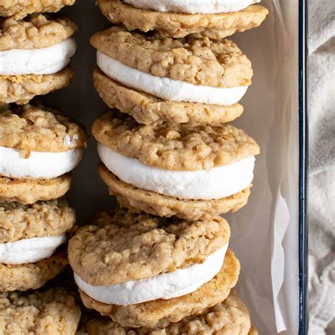 Easy Oatmeal Cookie Ice Cream Sandwich Recipe The Little Holly That Could