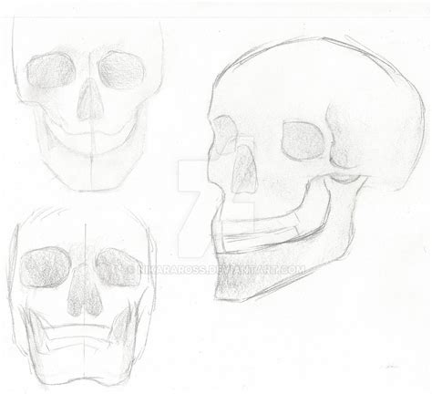 Sketchbook Skulls 1 By Nikaraross On Deviantart