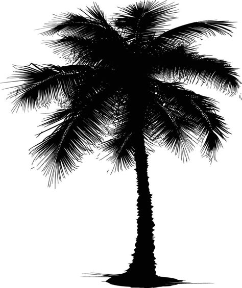 Ai Generated Silhouette Coconut Tree Black Color Only 38020722 Vector