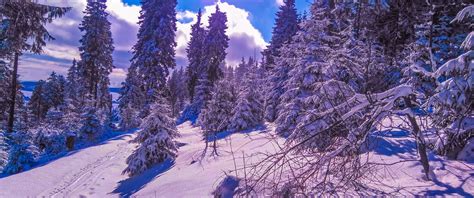 3440X1440 Winter Wallpapers - Top Free 3440X1440 Winter Backgrounds ...