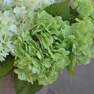 Real Touch Huge Green Hydrangea Stem Luxry Realistic Artificial