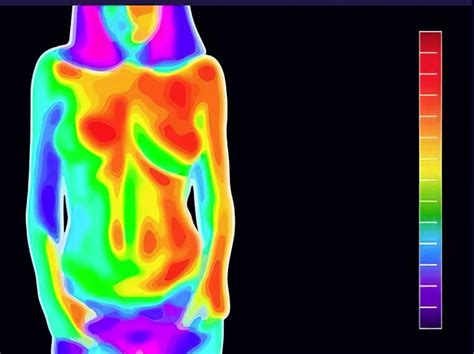 Thermography Dr Poane S Chiropractic Office