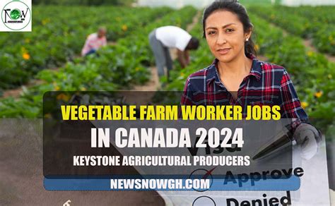 Vegetable Farm Worker Jobs In Canada 2024 Keystone