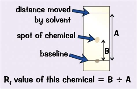 Topic States Of Matter And Mixtures Flashcards Quizlet