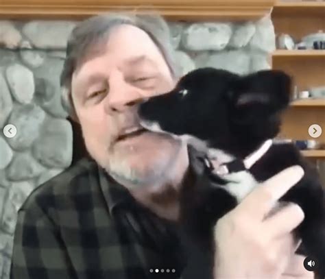 Dog Freaks Out After Seeing Darth Vader Mark Hamill Reacts