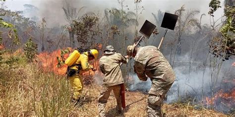 Greenpeace Bolivia Ocupa El Segundo Lugar En El Mundo Con M S