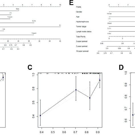 Predictive Model For OS Nomogram A Calibration Plot B