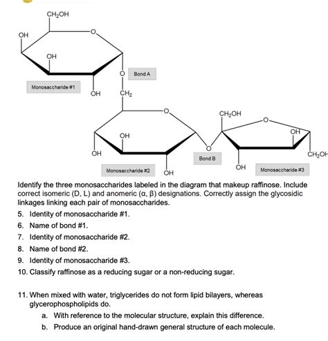 Solved Identify The Three Monosaccharides Labeled In The