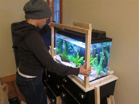 Aquaponics for veggies : Where to buy aquaponics fish tank