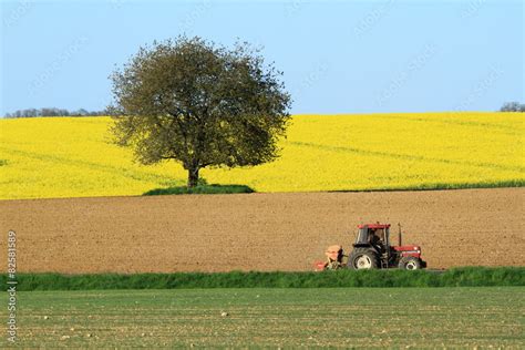 Terre Agricole Culture Des Terres Agricoles Au Printemps Stock Photo