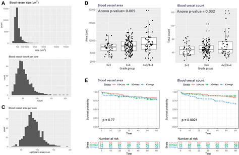 Frontiers Deep Learning Based Automated Pipeline For Blood Vessel