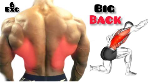 6 Best Bigger Back Workout At Gym Back Excercises Youtube