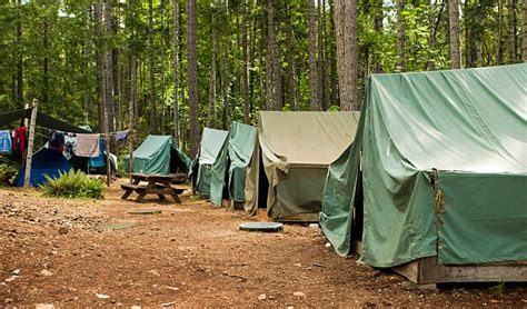 11600 Boy Scout Stock Photos Pictures And Royalty Free Images Istock
