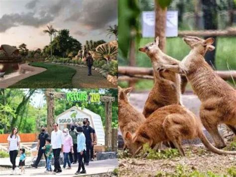 Jadi Wisata Baru Di Surakarta Cek Tiket Lokasi Solo Safari