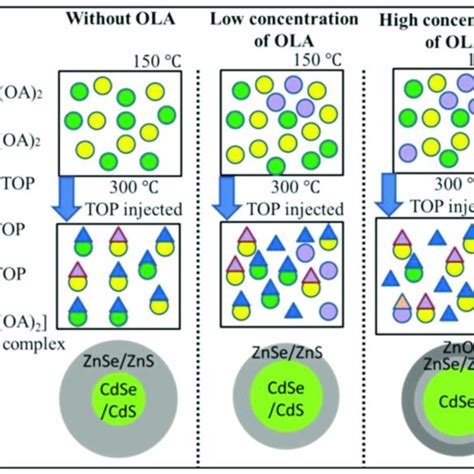 Elemental Composition Of A Cds Cdse Core And B Zns Zno Shell Qds