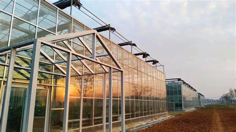 Multi Span Venlo Glass Greenhouse With External Shading System