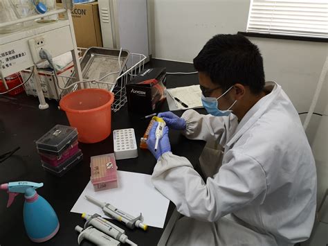 Team:CSU CHINA/SAFETY - 2019.igem.org