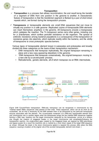 Mutation Recombination And Transposition Pdf