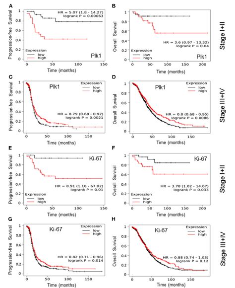 Figure 1 From The Prognostic Relevance Of The Proliferation Markers Ki