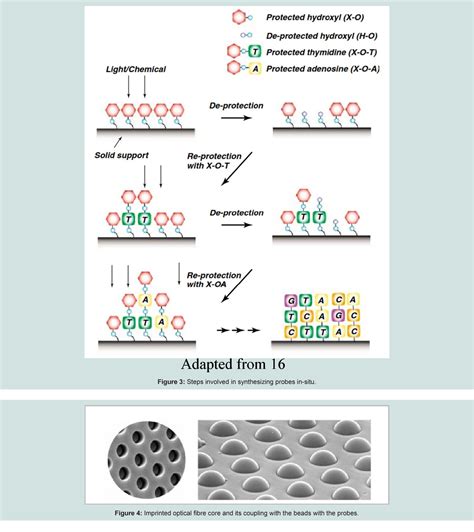 Figure From Microarray Based Genotyping A Review Semantic Scholar