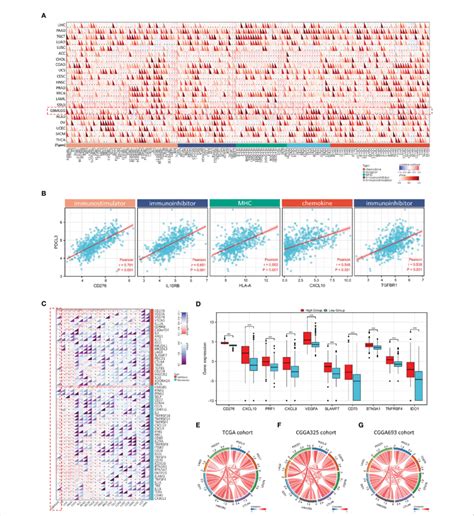 Association Between Pdcl Expression And Immunomodulators And Immune