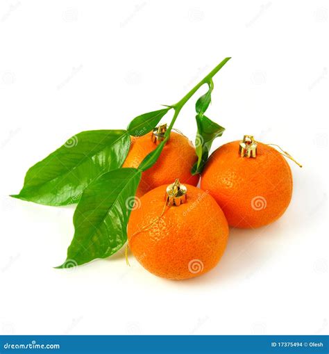 Mandarin Christmas Decoration Stock Photo - Image of color, fruit: 17375494