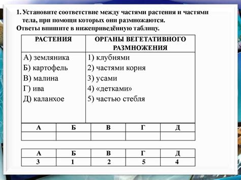 Половые клетки - online presentation