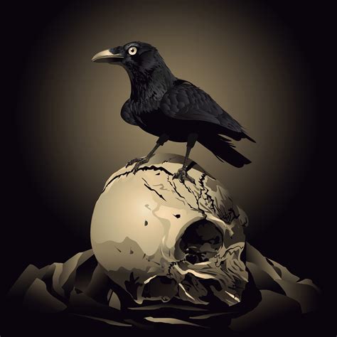 Crow With Skull Vector Raven On A Broken Skull 13376826 Vector Art At