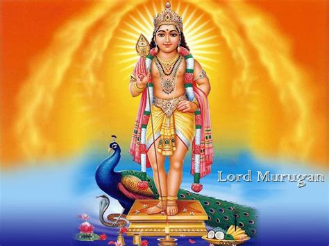 Murugan Hd Imageslord Murugan Imagesgod Murugan Imagesmurugan God