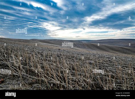 Autumn Fields in the Palouse, WA Stock Photo - Alamy