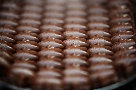 Go On A Chocolate Journey With Princess Cruises — Cruise Lowdown
