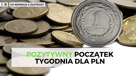 Polski Z Oty Zyskuje Wzgl Dem Wszystkich G Wnych Walut Kurs Euro